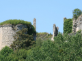 montaigu-le-blin-forteresse-003